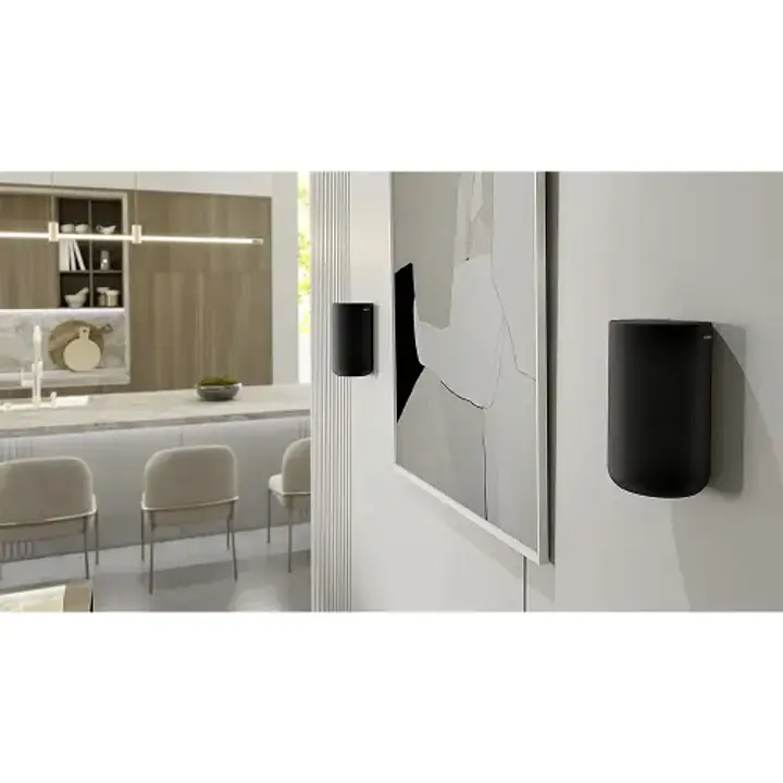 Sony SA-RS5 Wireless Rear Speakers With Built-in 10 hours Battery Life, Quick Charging and Wall mountable (Black) - Master